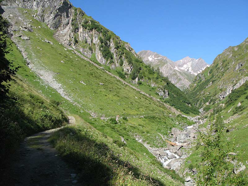 wiesbauerspitze